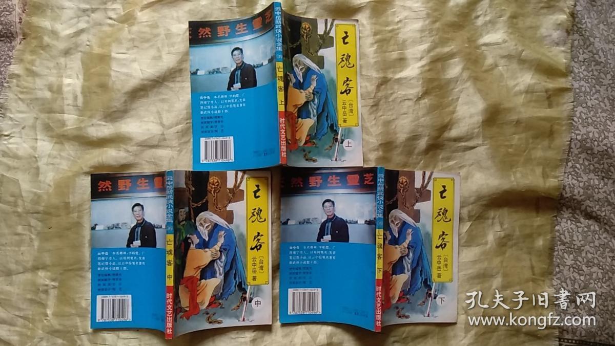 云中岳新武侠小说全集 亡魂客 上中下