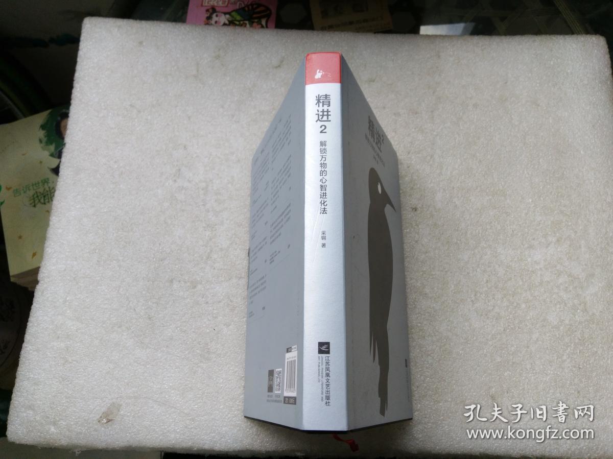 精进2:解锁万物的心智进化法