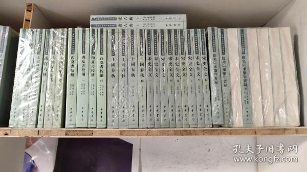 靖康稗史笺证:中国史学基本典籍丛刊