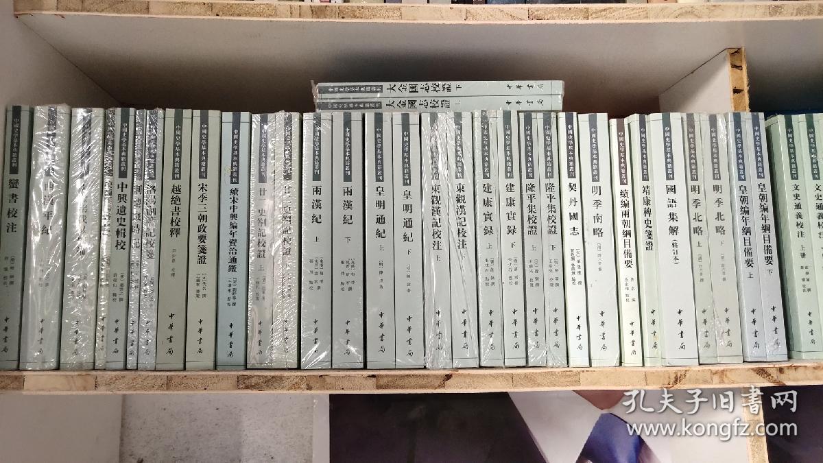 靖康稗史笺证:中国史学基本典籍丛刊