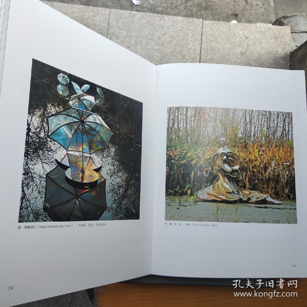 国美之路大典 雕塑与公共艺术卷 雕塑中国(独乐,众乐)2册合售