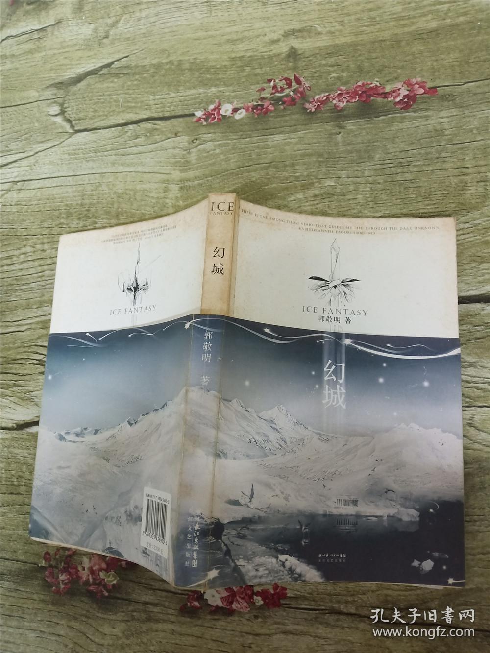 幻城 长江文艺出版社