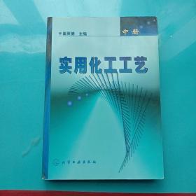 实用化工工艺  中册