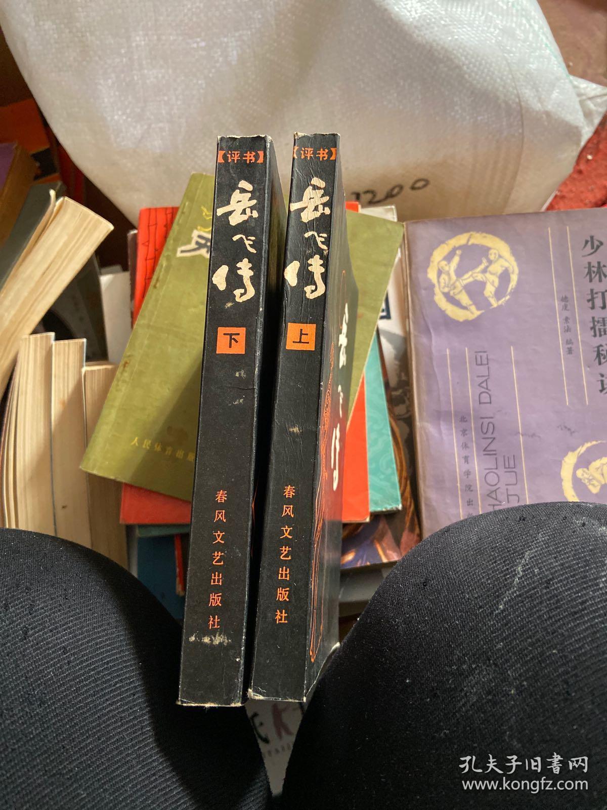 评书 岳飞传 上下