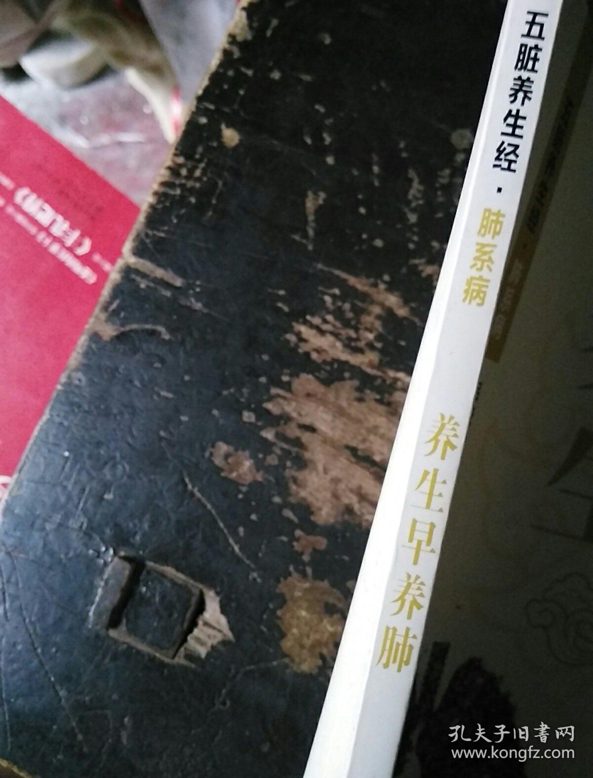 中医五脏养生经丛书:养生早养肺_吕晓东,张艳 著;张艳,卢秉久 编_孔