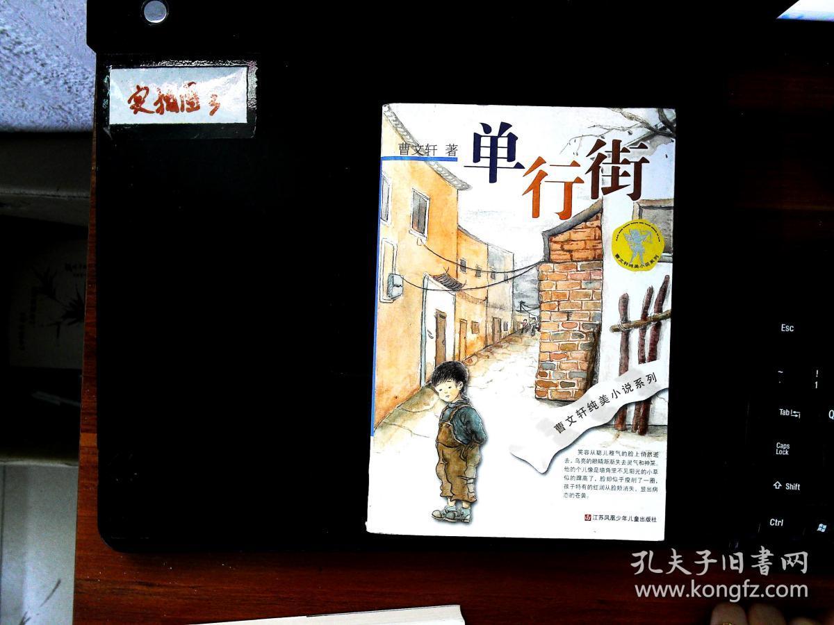 曹文轩纯美小说:单行街