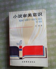 小说审美意识
