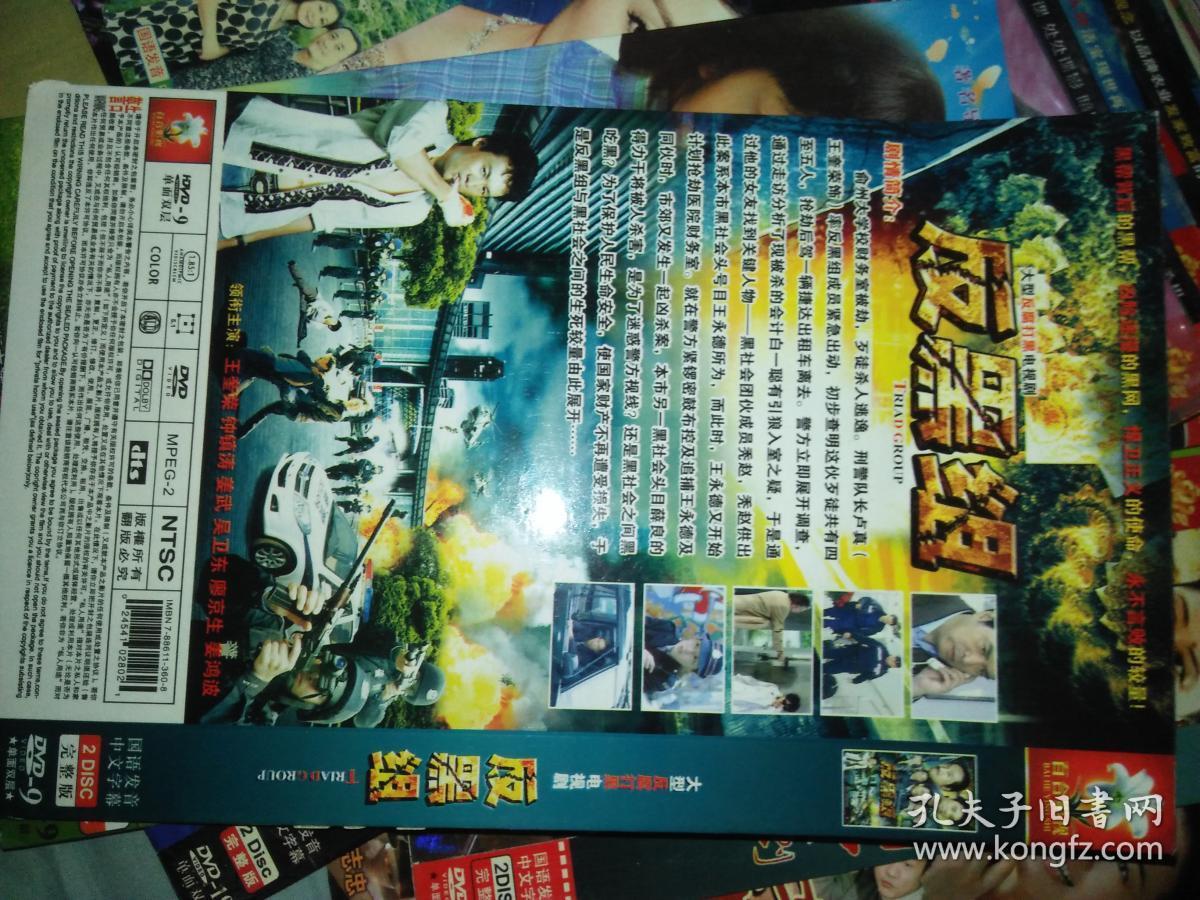 电视剧dvd简装2碟 反黑组 王奎荣钟镇涛姜武吴卫东廖京生姜鸿波
