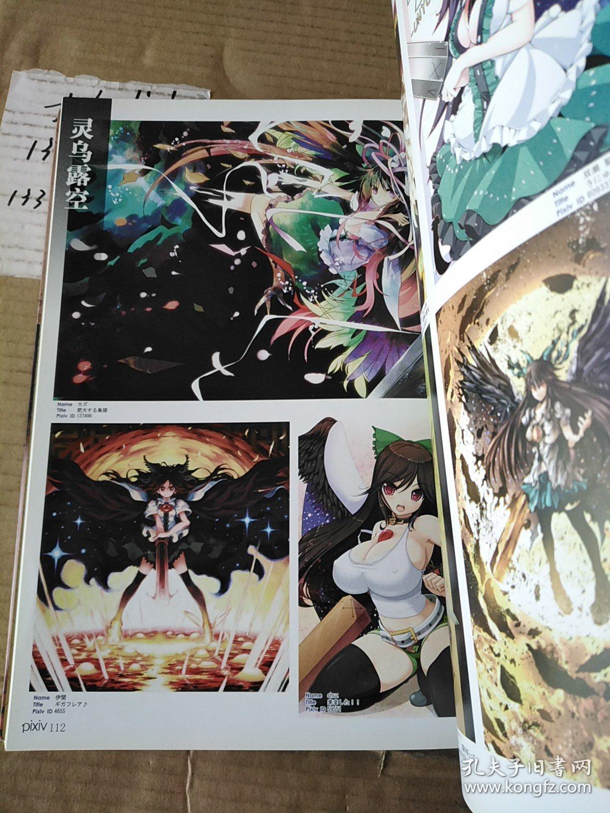 东方幻乐园 pixiv2011----2012年鉴