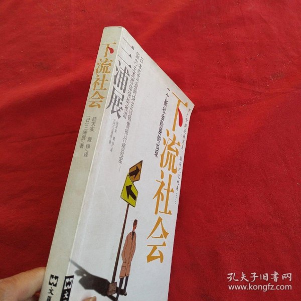 下流社会:一个新社会阶层的出现