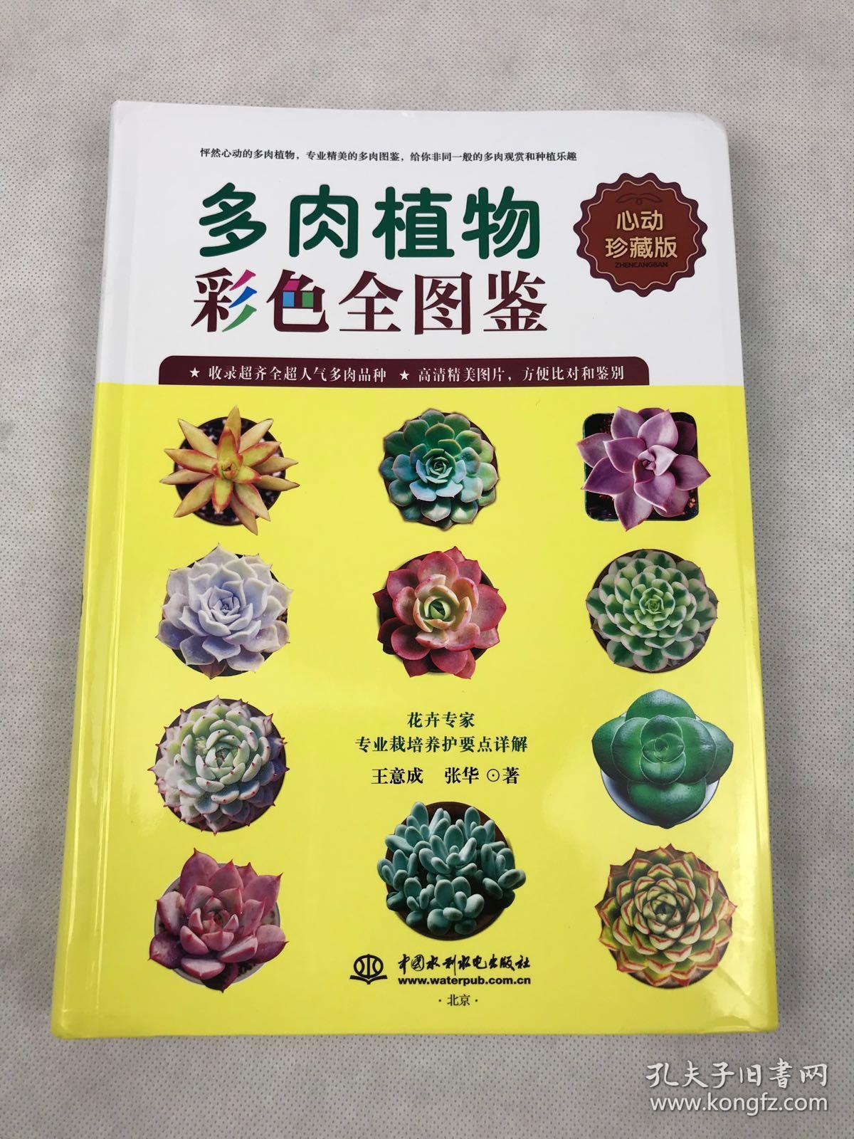 多肉植物彩色全图鉴