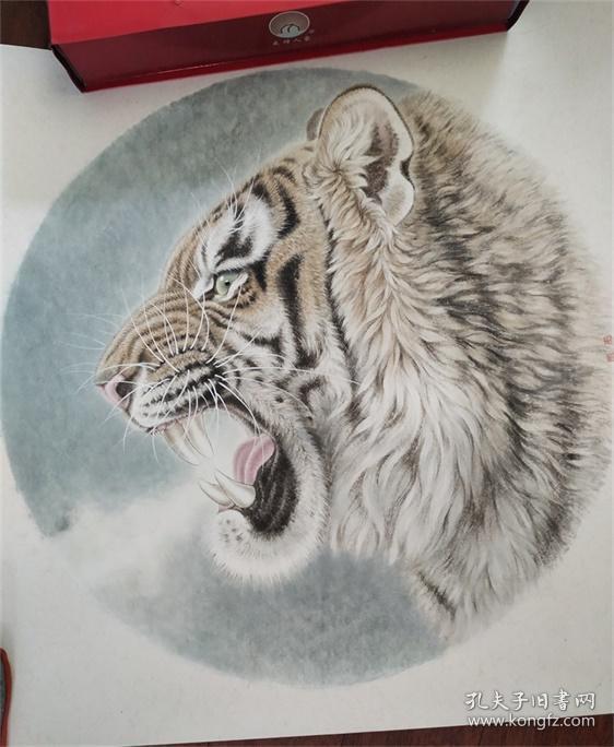 徐文略手绘老虎