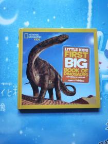 英文原版Little Kids First Big Book of Dinosaurs 恐龙百科普【精装本】