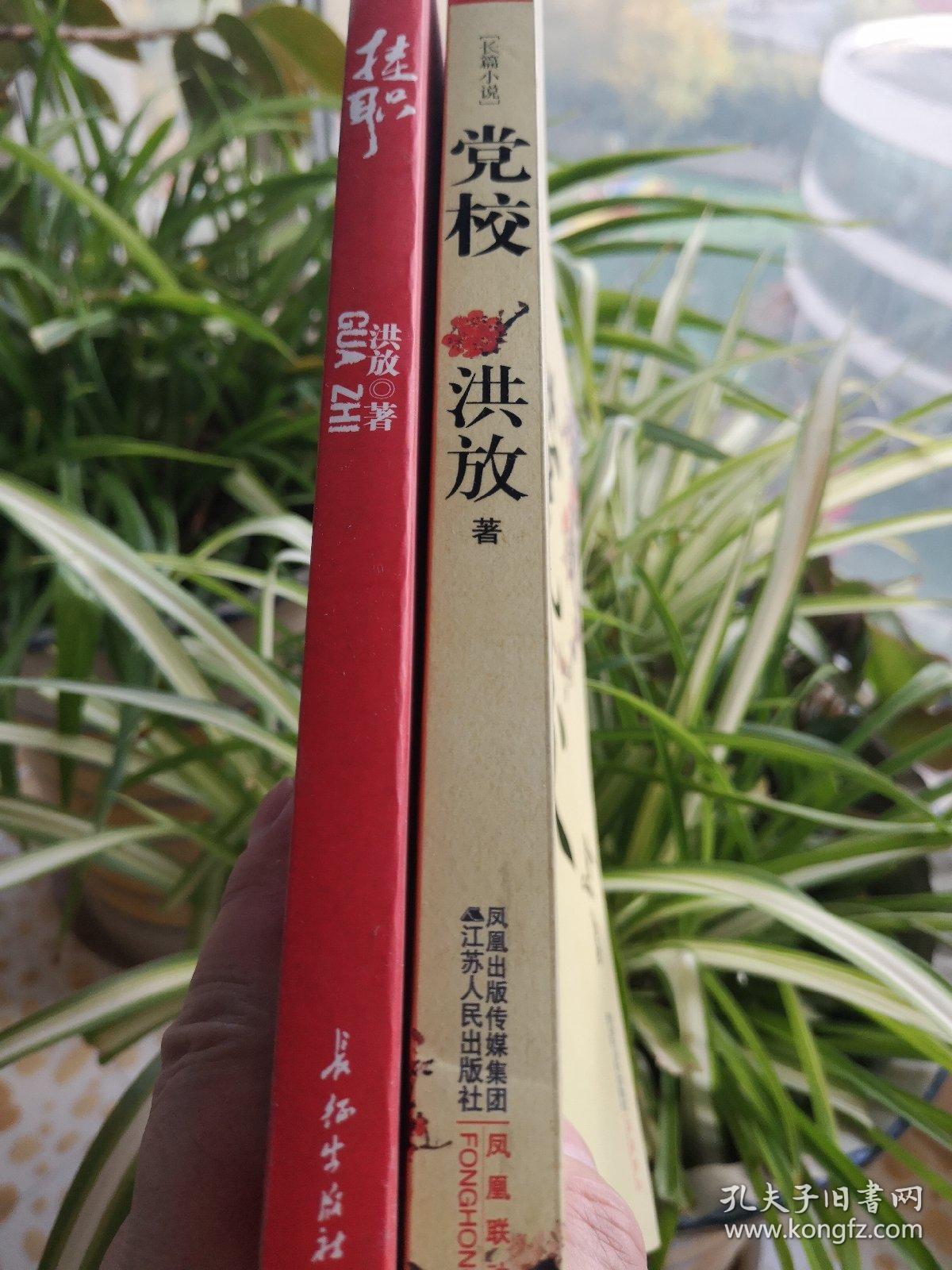 《挂职》和《党校》两本合售/洪放