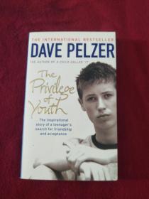 The Privilege of Youth by Dave Pelzer                                                        、