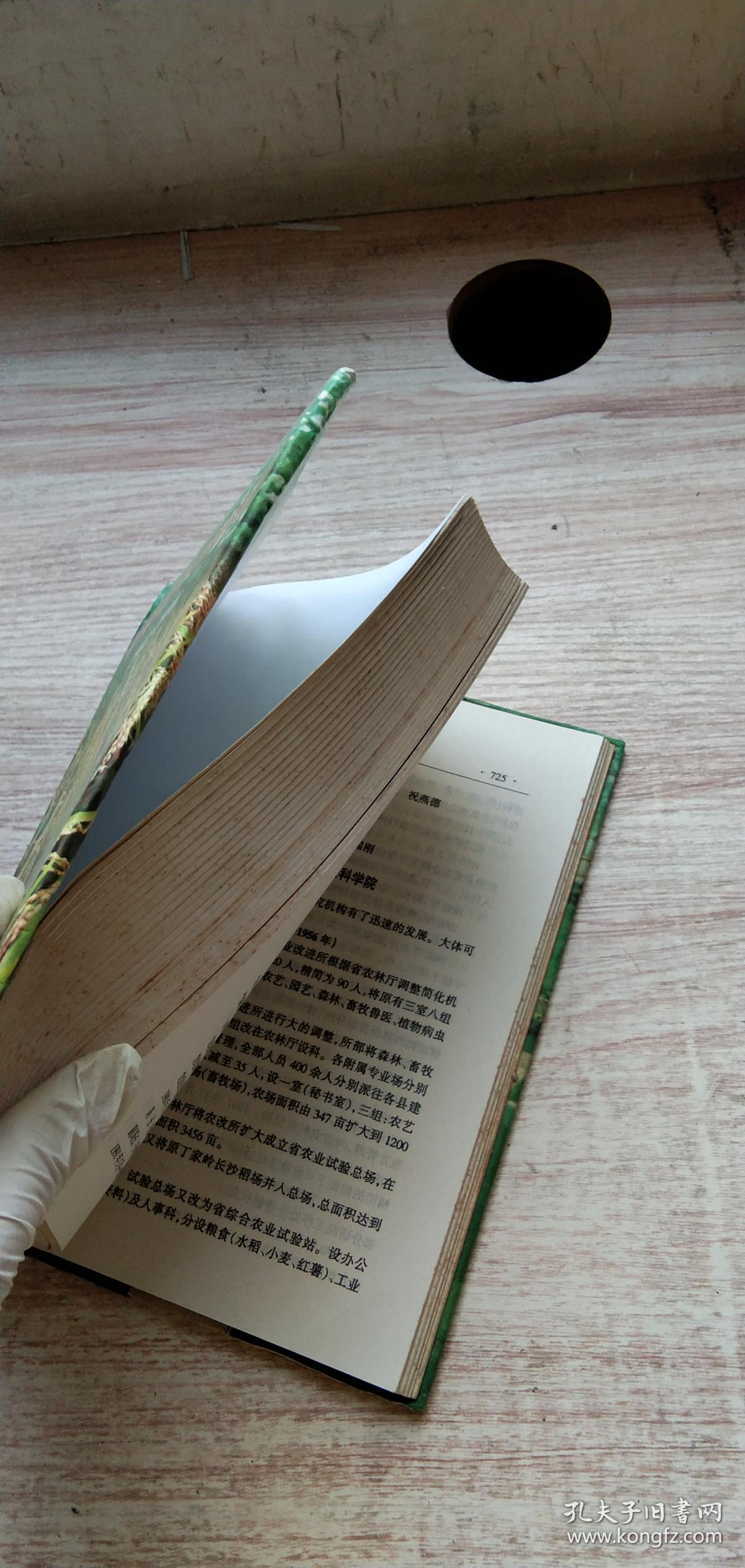 湖南百年农事录:1900～2000_卓康宁 编著_孔夫子旧书网