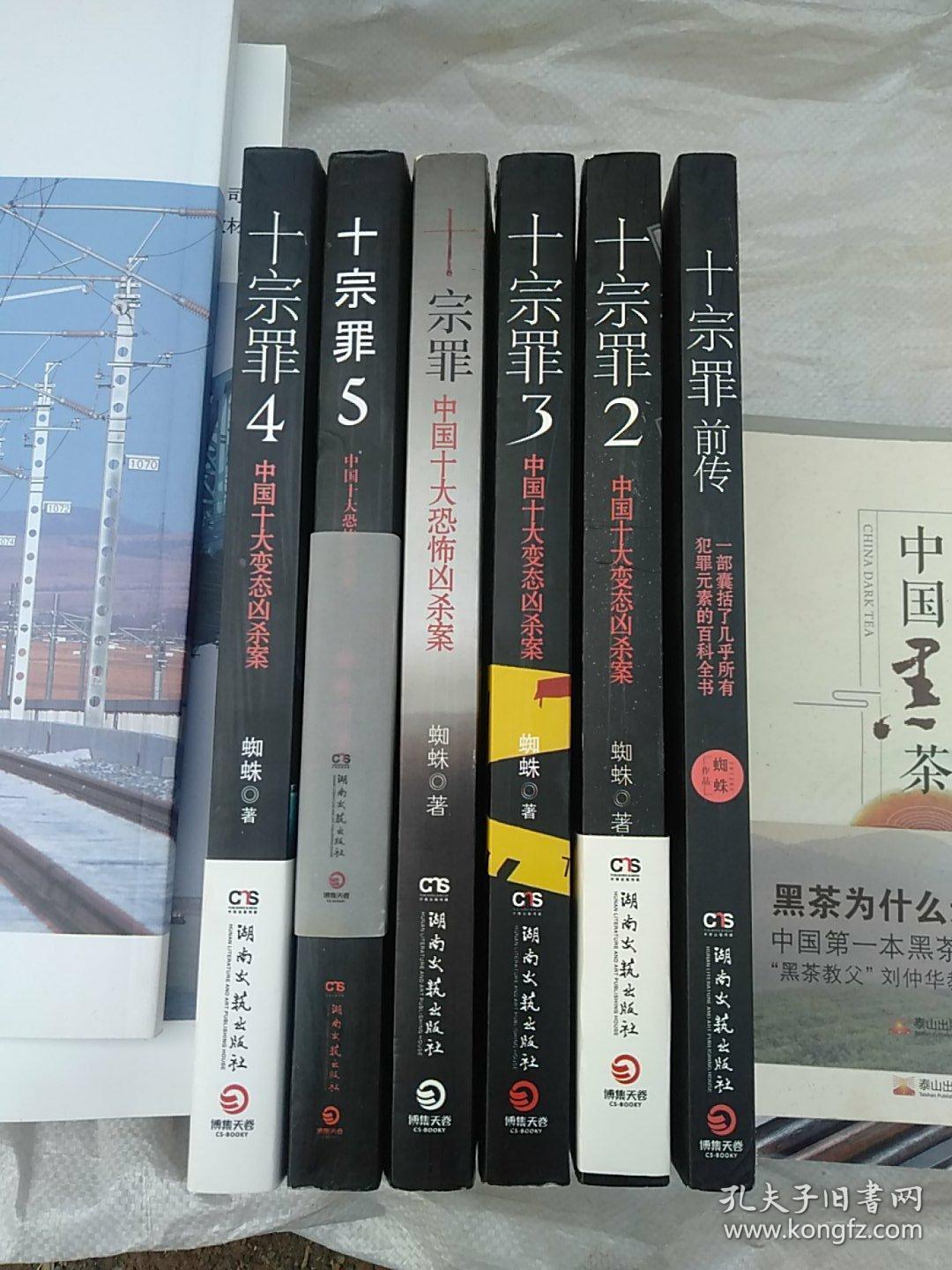 十宗罪5:中国十大凶杀案