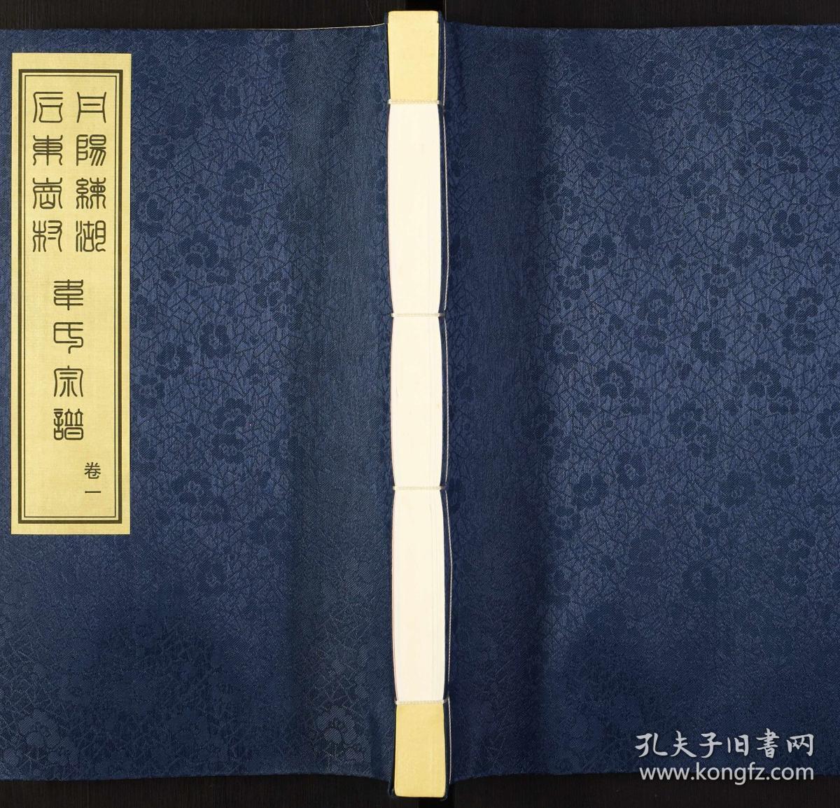 韦氏宗谱【3卷】复印件