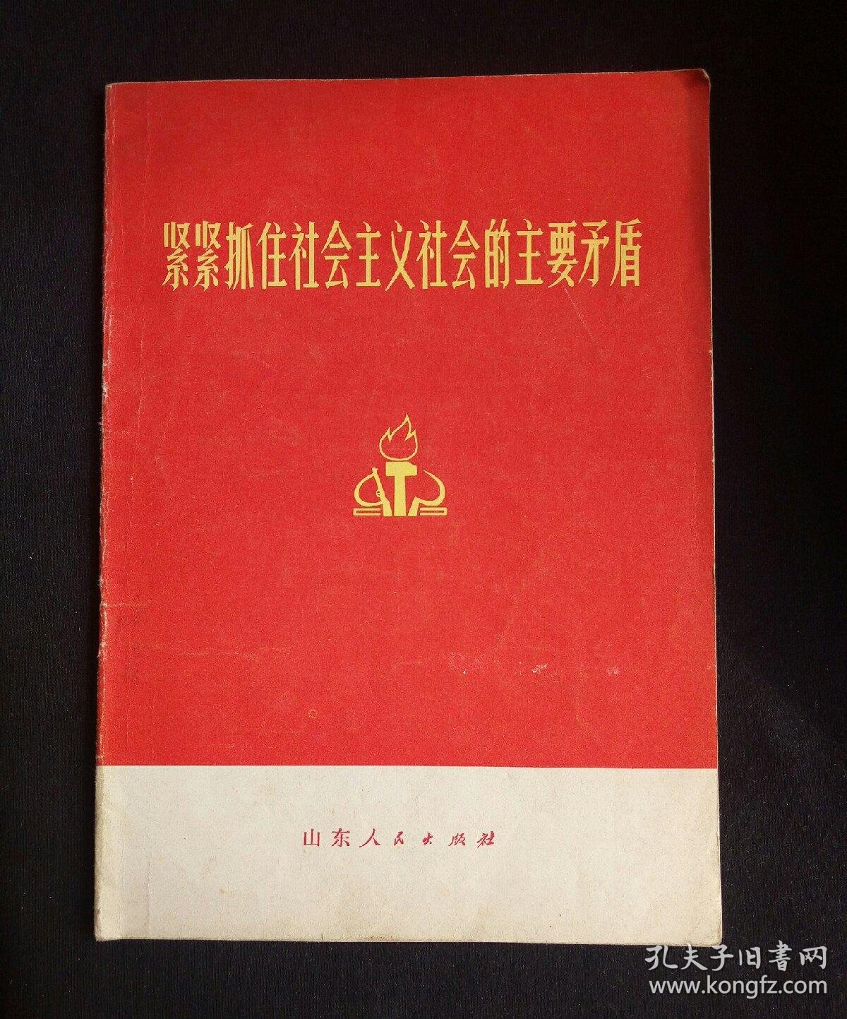 紧紧抓住社会主义社会的主要矛盾