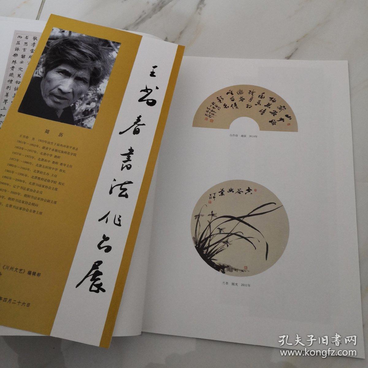 王书春书法作品集