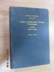 英文书   Guide  to  Molecular  Cloning  Techniques   分子克隆技术指南    硬精装   32开 812页