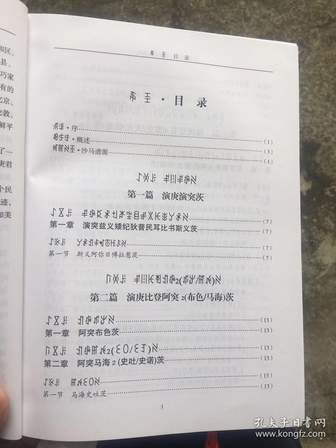 彝族书籍演庚惹尔源流央古书补沙马曲比家谱彝文书