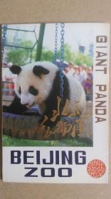 八十年代团结出版社出版“北京动物园--大熊猫”无资空白外文版明信片一套共10枚