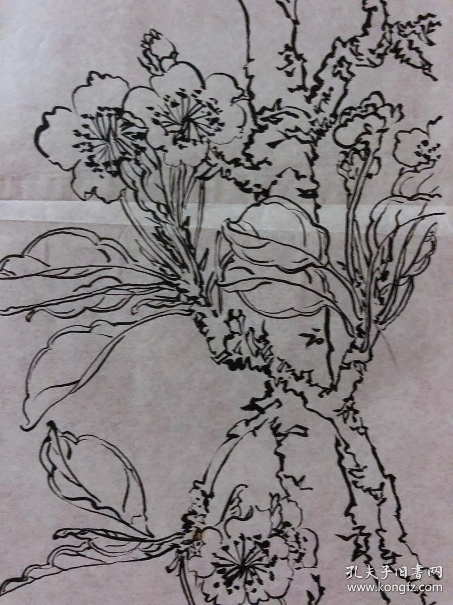 书画原作2065,80年代工笔白描花鸟画【王甲山】,梨花