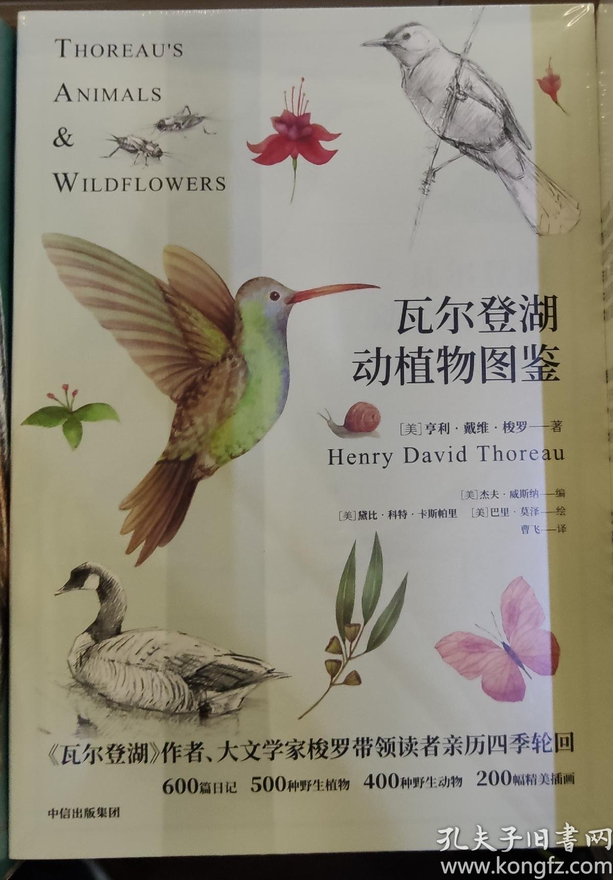 瓦尔登湖动植物图鉴