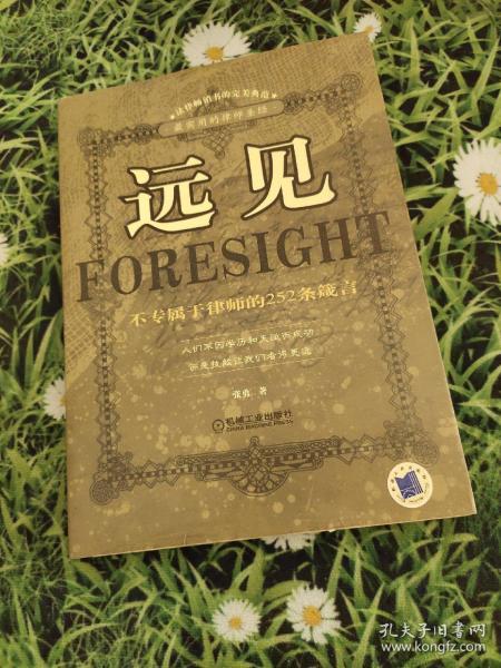 远见:不专属于律师的252条箴言