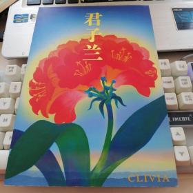 君子兰邮票