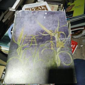 丁融 纸本花卉作品集