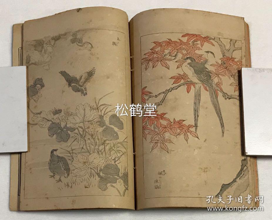 花鸟画谱》1册全，和刻本，明治31年，1898年版，内为精美花鸟画谱 