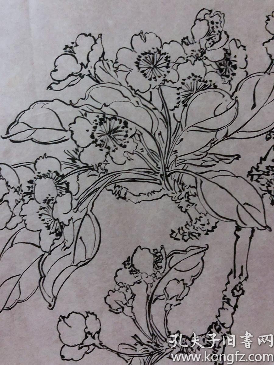 书画原作2065,80年代工笔白描花鸟画【王甲山】,梨花