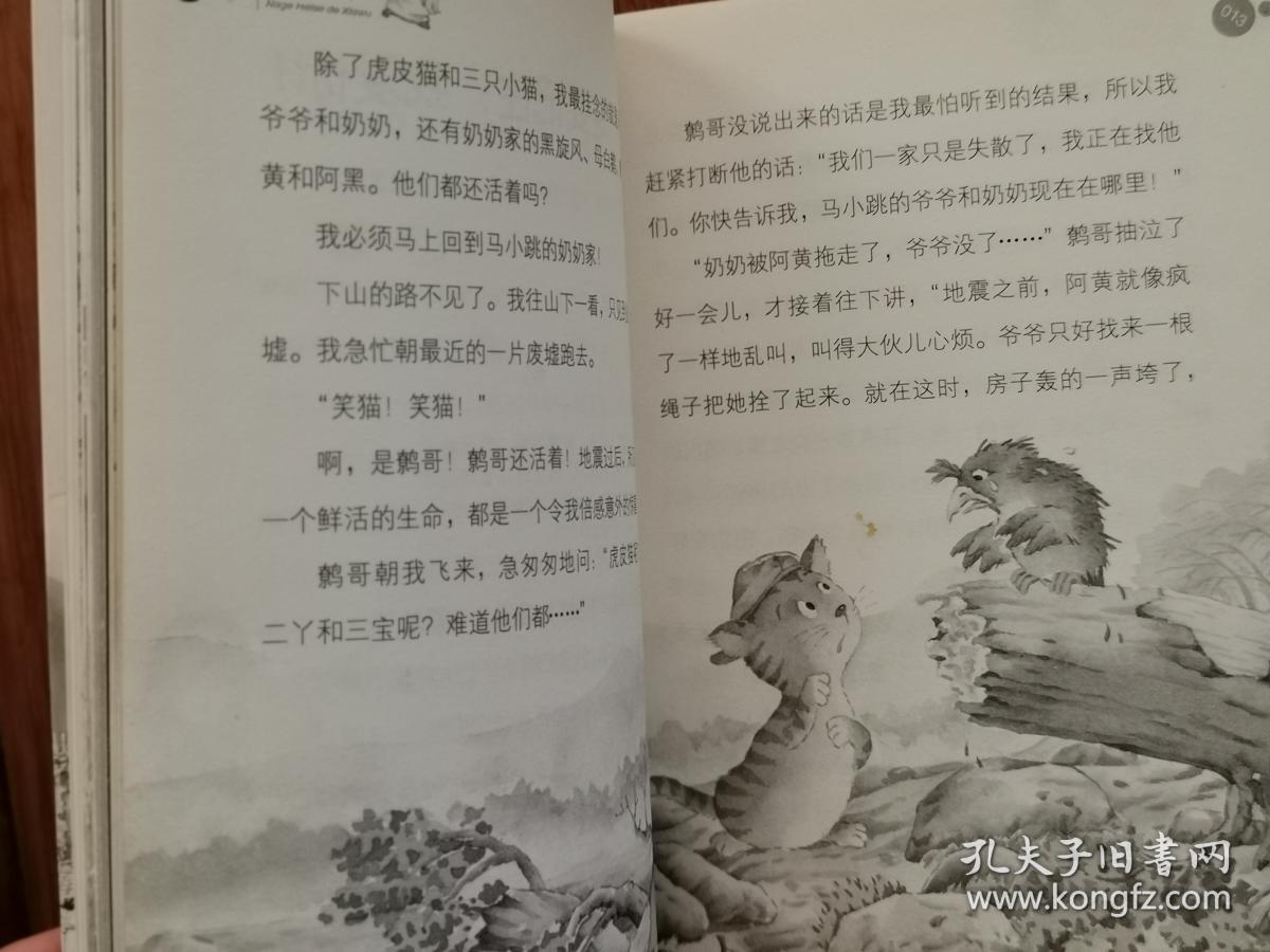 笑猫日记小猫的秘密山洞读后感_笑猫日记小猫出生在秘密山洞_小猫秘密山洞读后感400字