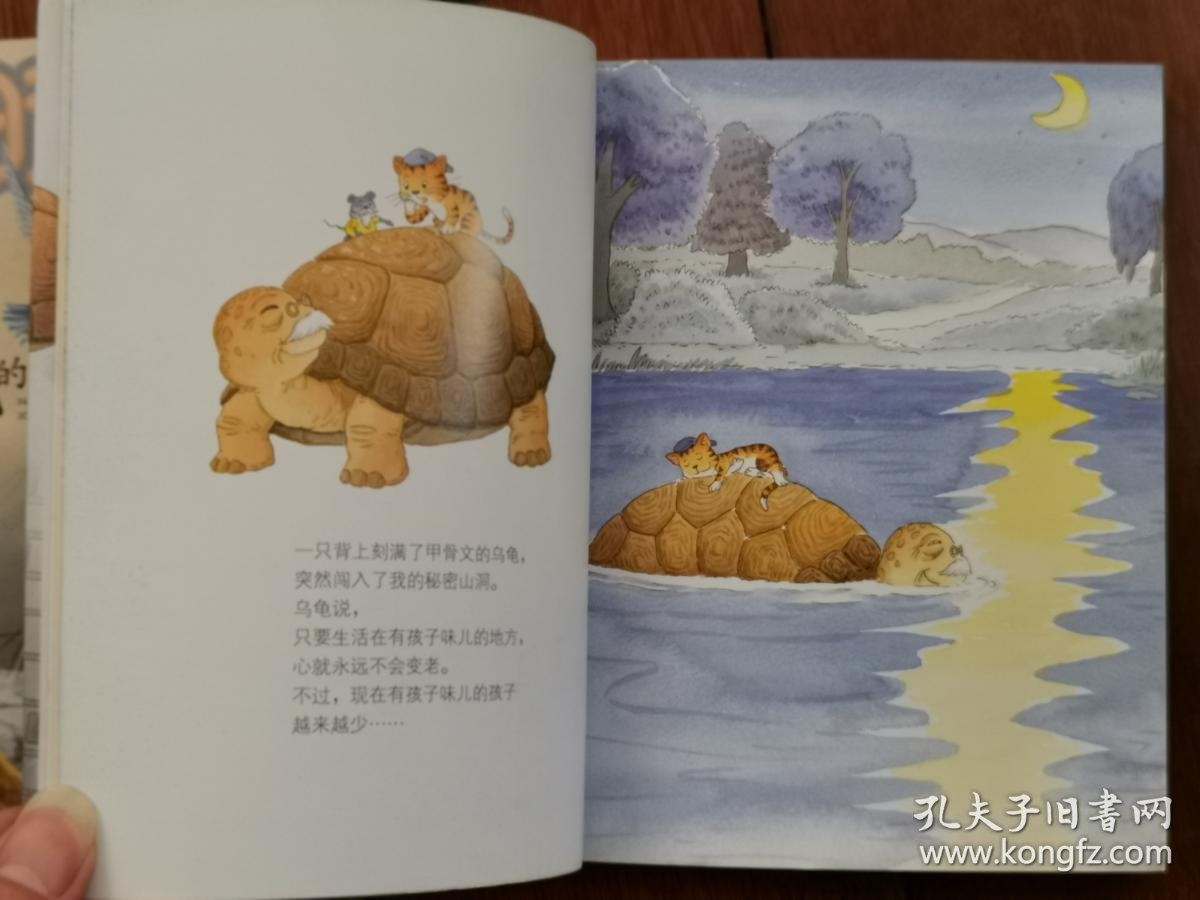 笑猫日记万年龟笑猫日记万年龟图片乌龟的秘密笑猫日记绿毛龟图片绿毛