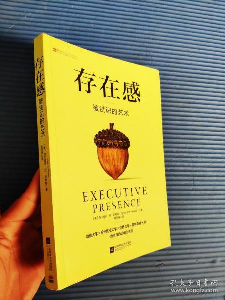 存在感([美]西尔维亚·安·休利特 著;杨丹丹 译