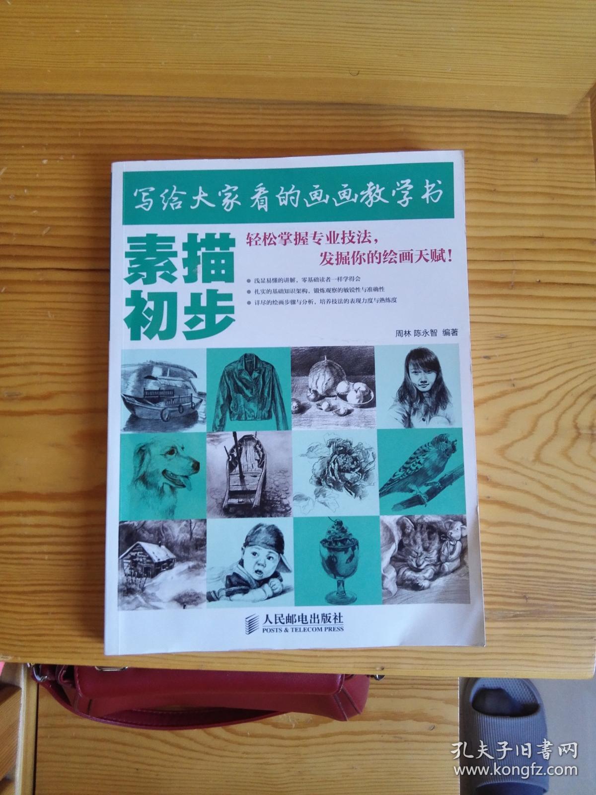 写给大家看的画画教学书:素描初步