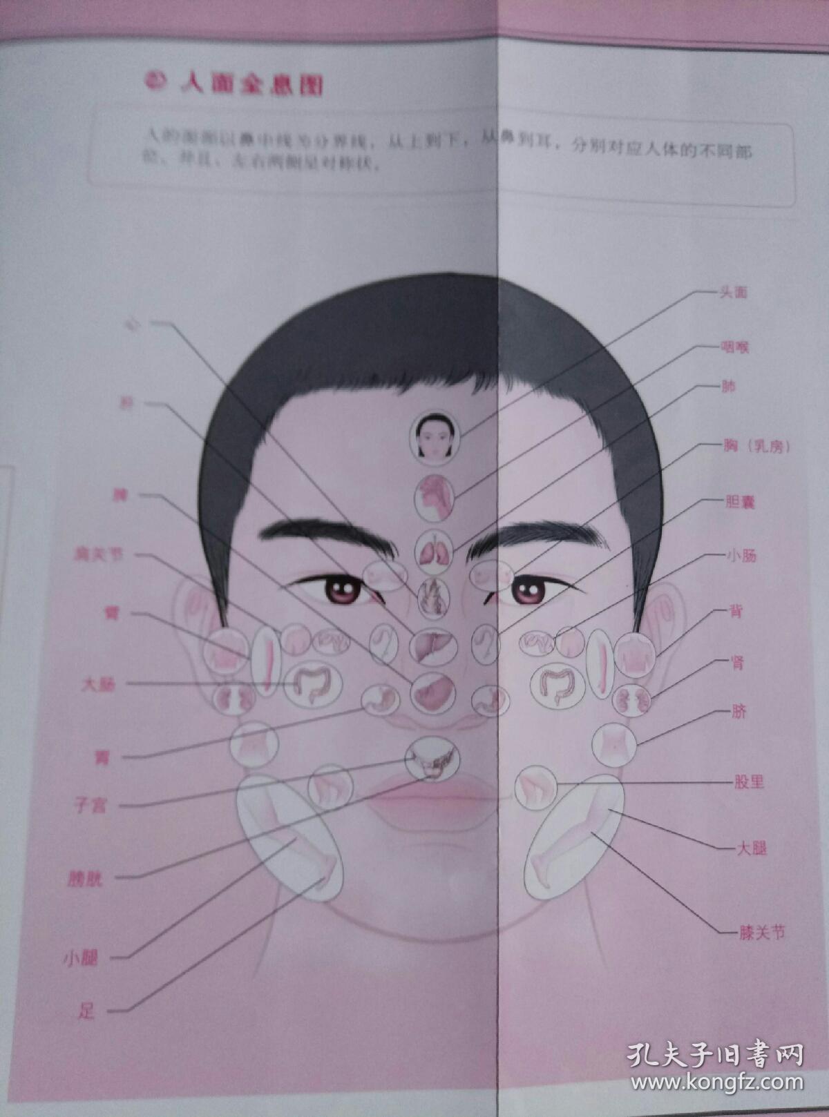 图解颜面色诊