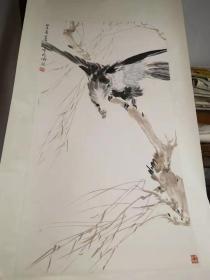 荣宝斋八九十年代木板水印：《张书旂鹰立枝头图》  8平尺 装裱一轴