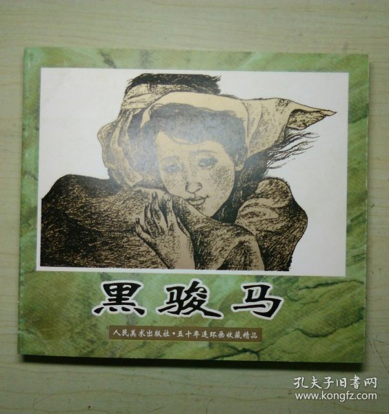 黑骏马