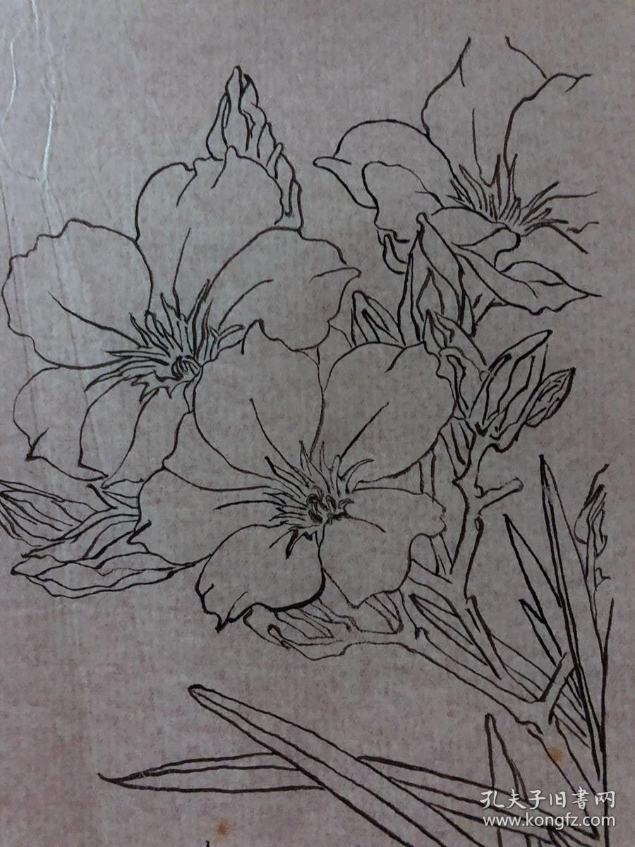 书画原作2078,80年代工笔白描花鸟画【陈耀春】