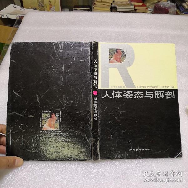 [人体姿态与解剖] 图书价格_书籍图片_网购评论_孔夫子旧书网