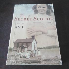 The Secret School（英文 原版）