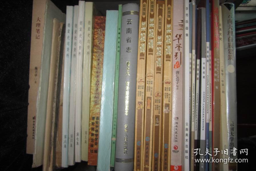 傣族达光及果占璧王国研究(讨论稿)