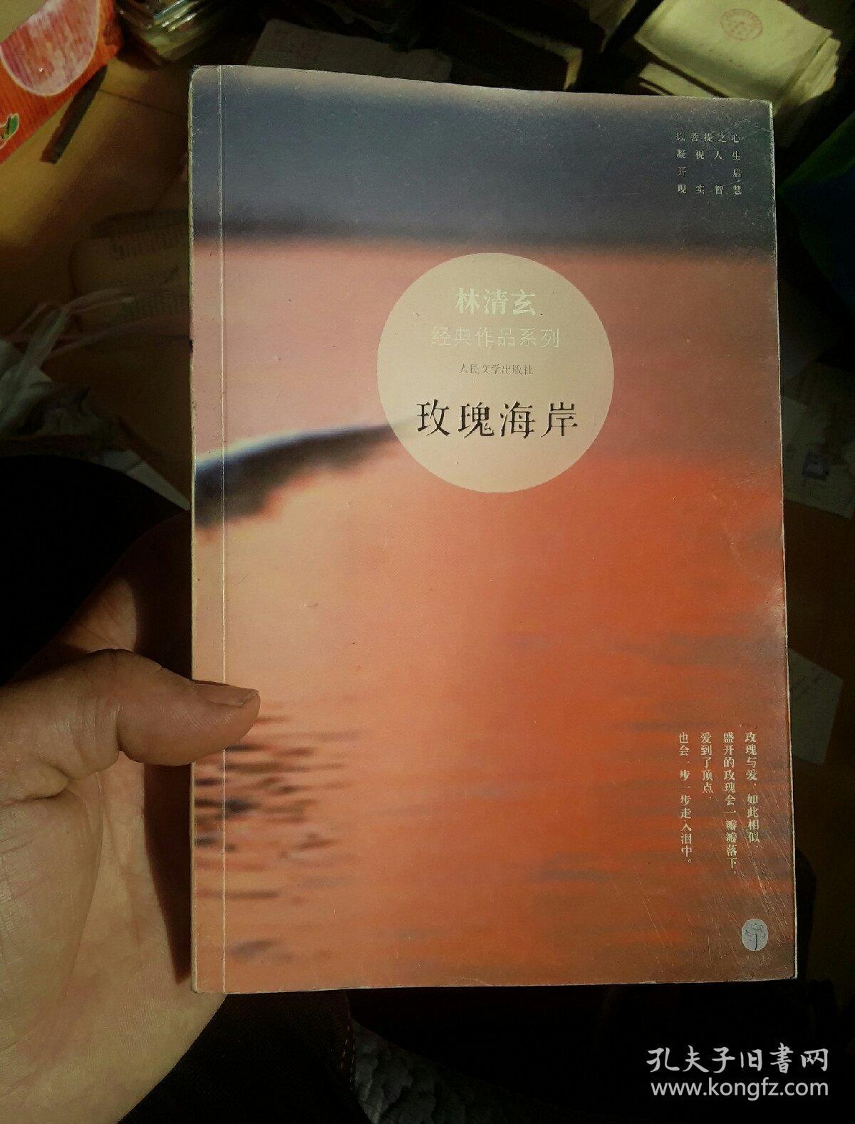 玫瑰海岸:林清玄经典作品系列