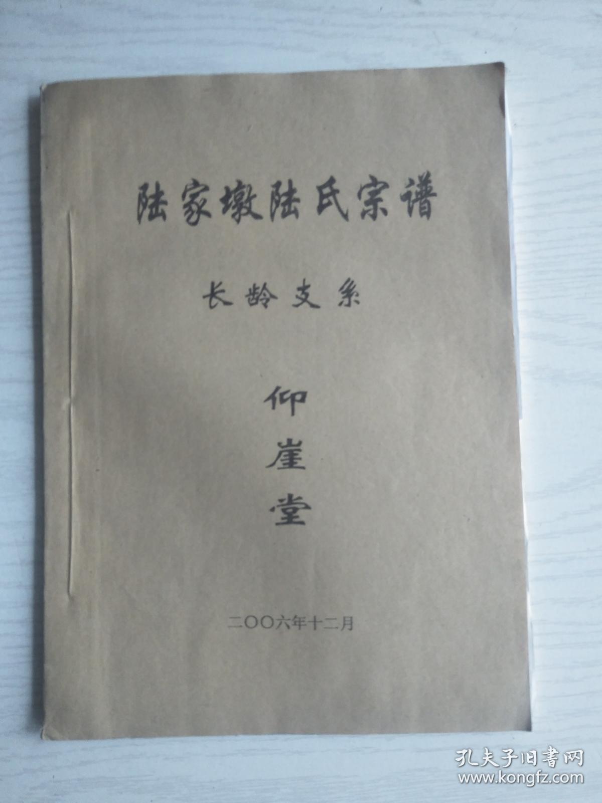 陆氏宗谱仰崖堂经纬二公陆家墩长龄支16开55页2006年版建湖美宜家藏书