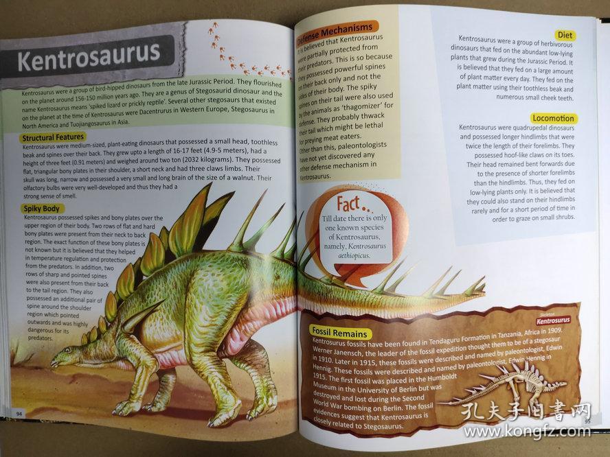 children's encyclopedia of dinosaurs 恐龙百科全书 精装英文版