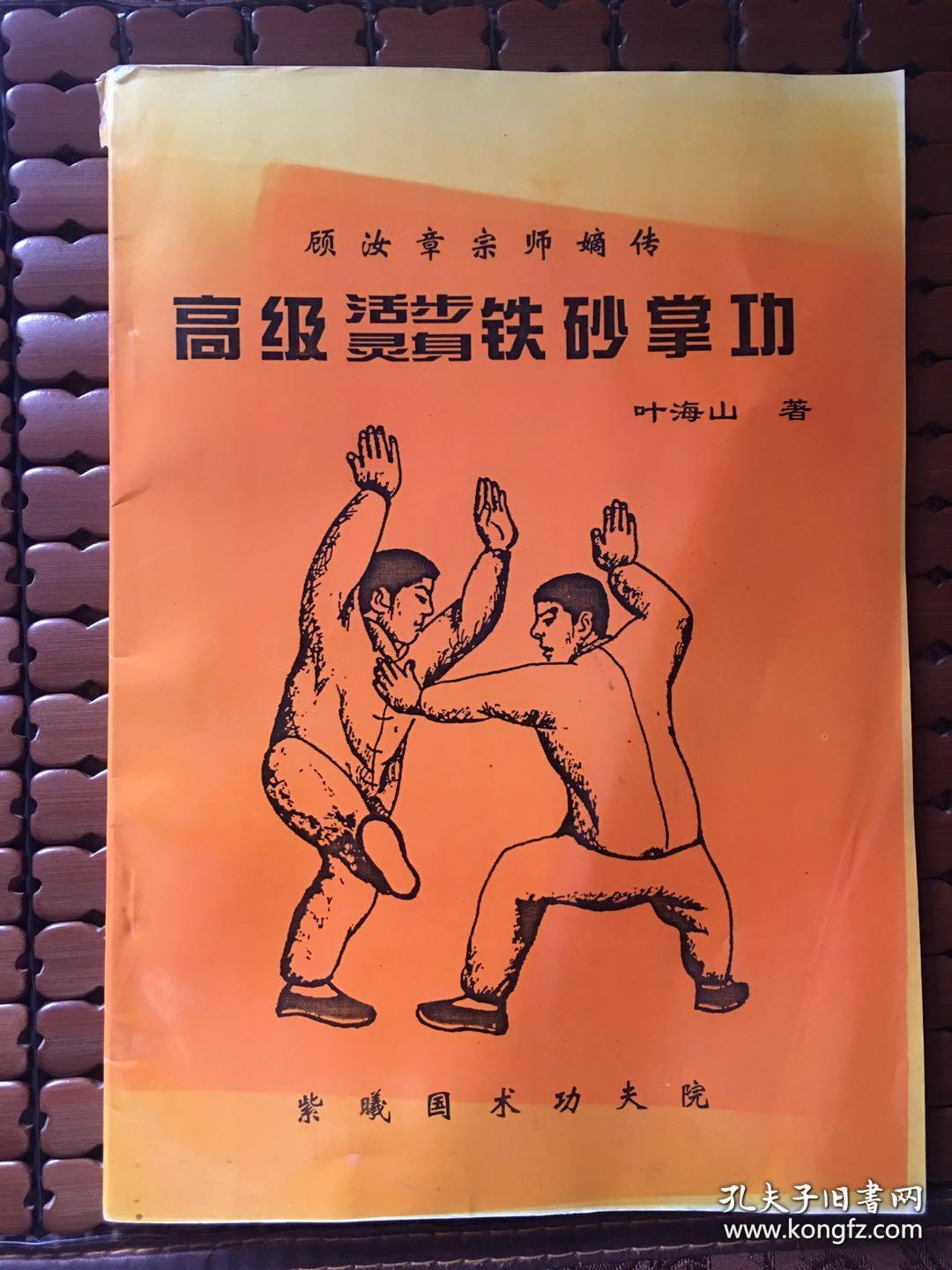 顾汝章宗师嫡传铁砂掌功 初中高特高 全六册