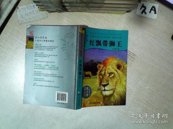 红飘带狮王简介图片
